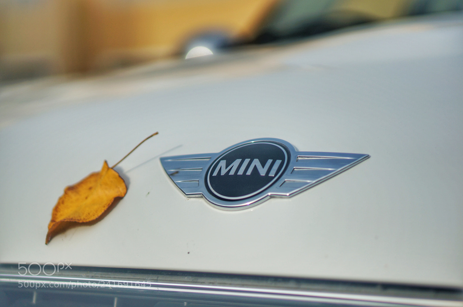 Sony Alpha NEX-5R sample photo. 1 photography