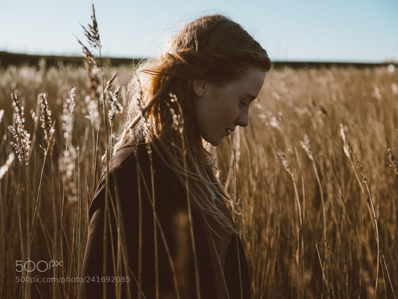 Fujifilm GFX 50S sample photo. Fields photography