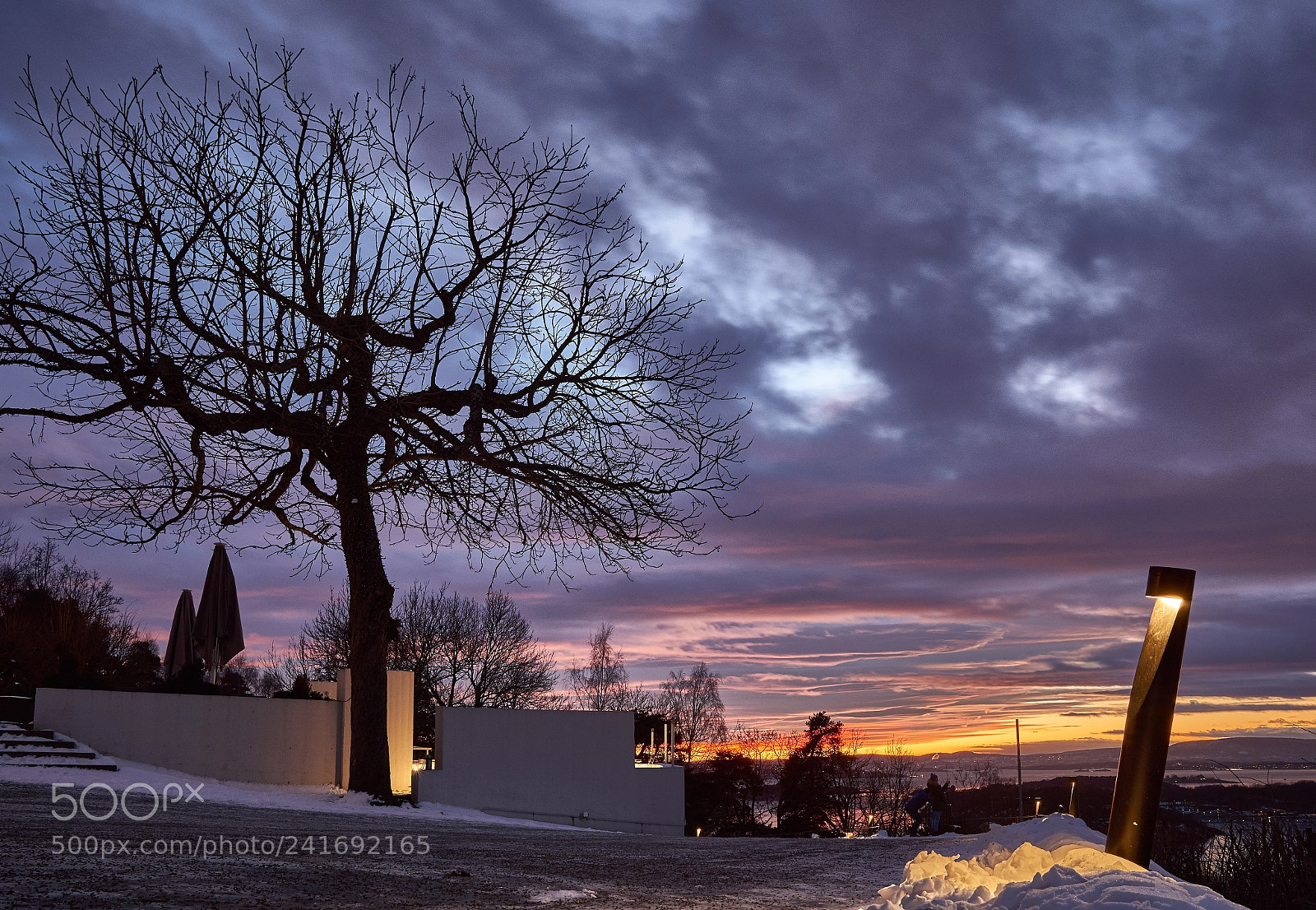 Sony a6500 sample photo. Twilight tree photography