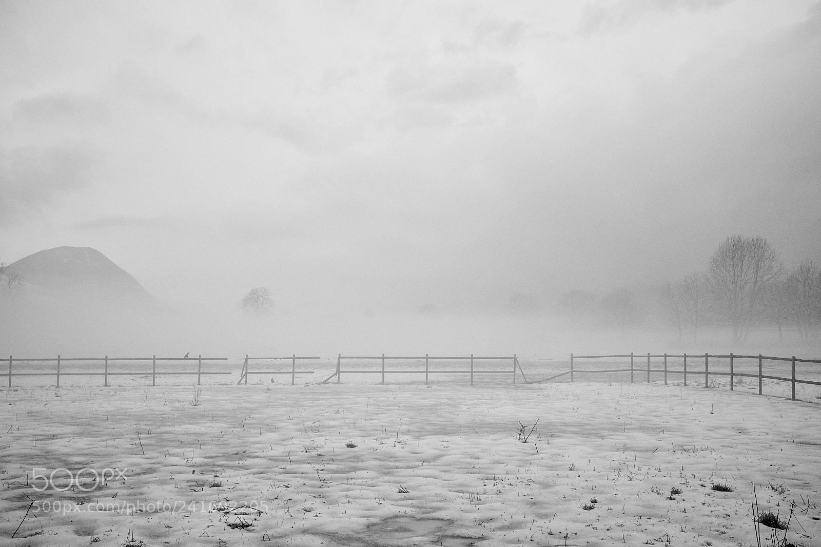 Fujifilm X100S sample photo. Flying the frozen land 2 photography