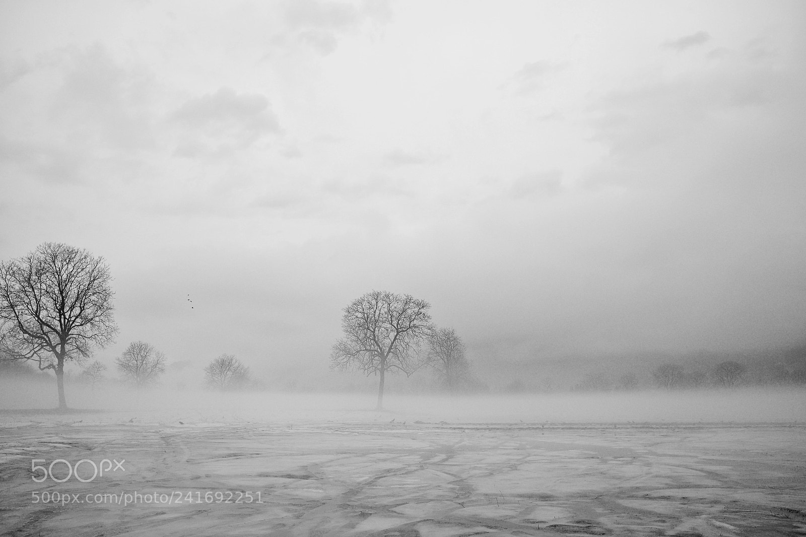 Fujifilm X100S sample photo. Flying the frozen land 1 photography