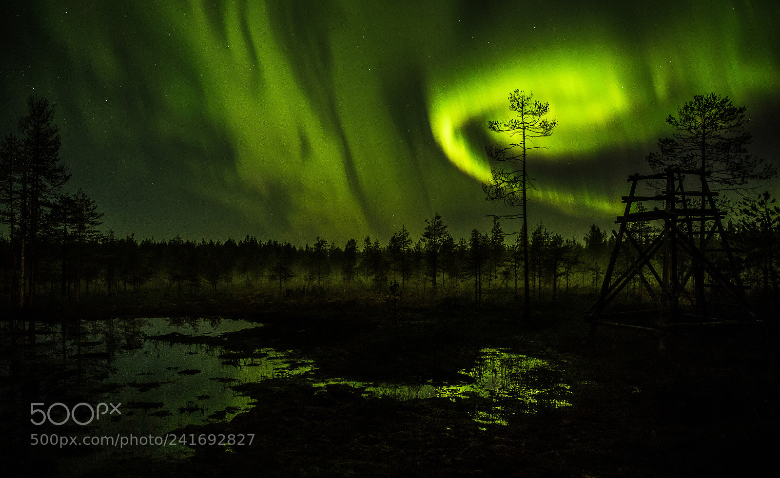 Nikon D5 sample photo. The northern light photography