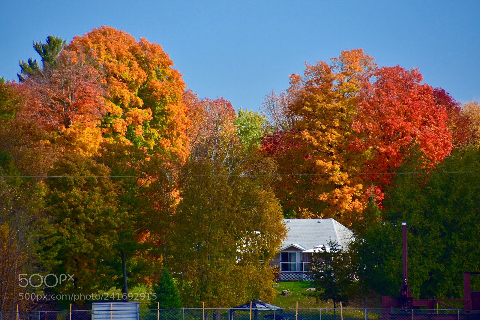 Nikon D7200 sample photo. Untitled photography