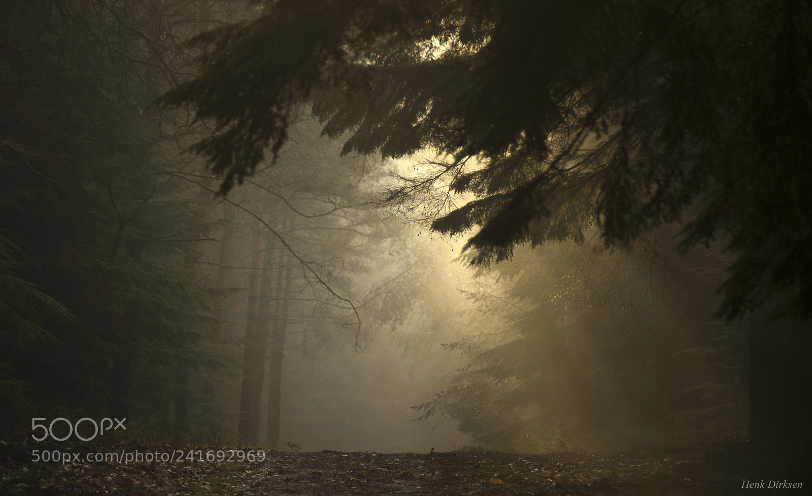 Nikon D200 sample photo. First light photography