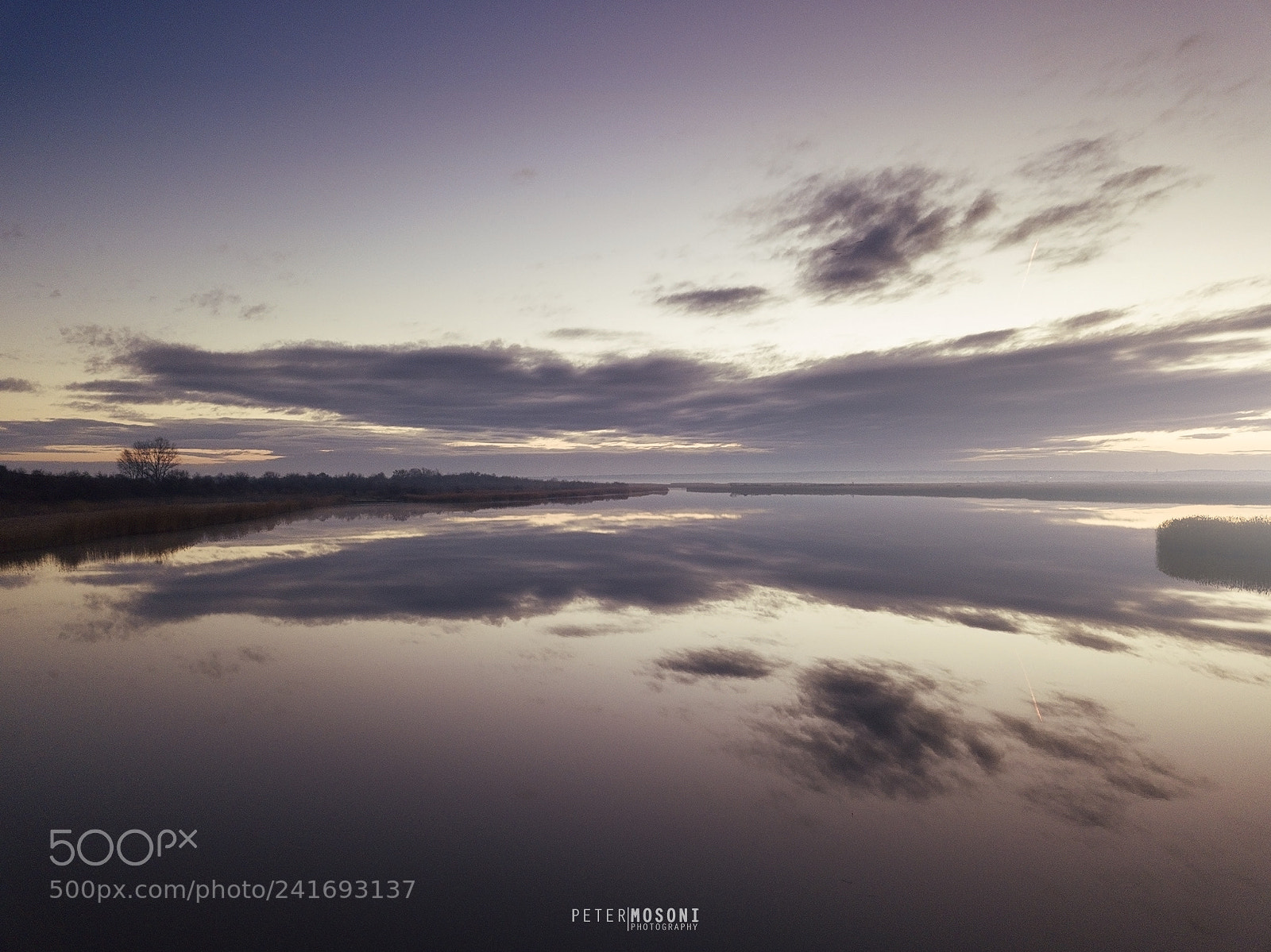 DJI FC220 sample photo. Morning delight photography