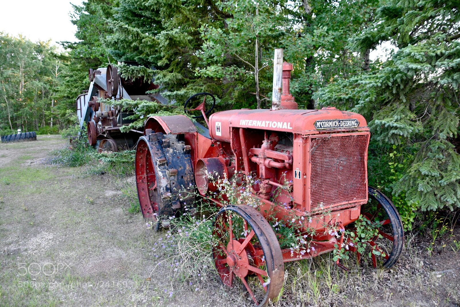 Nikon D7200 sample photo. Untitled photography
