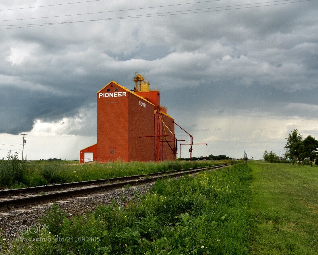 Nikon D7200 sample photo. Untitled photography