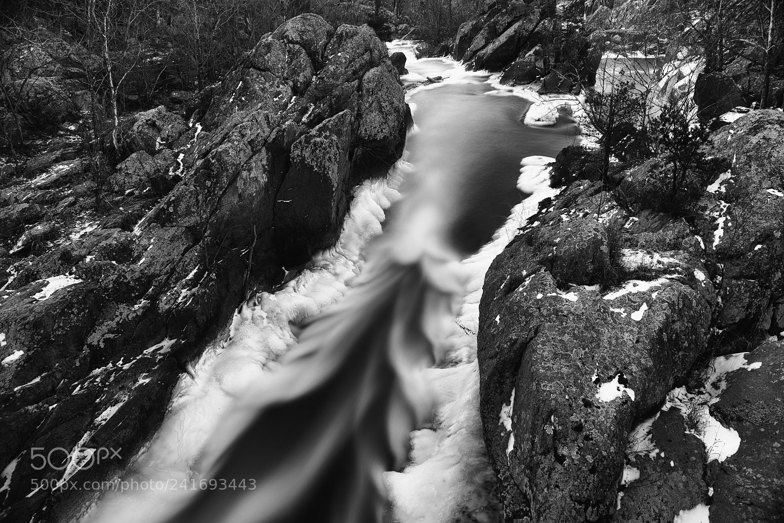 Nikon D800 sample photo. Rushing down river photography