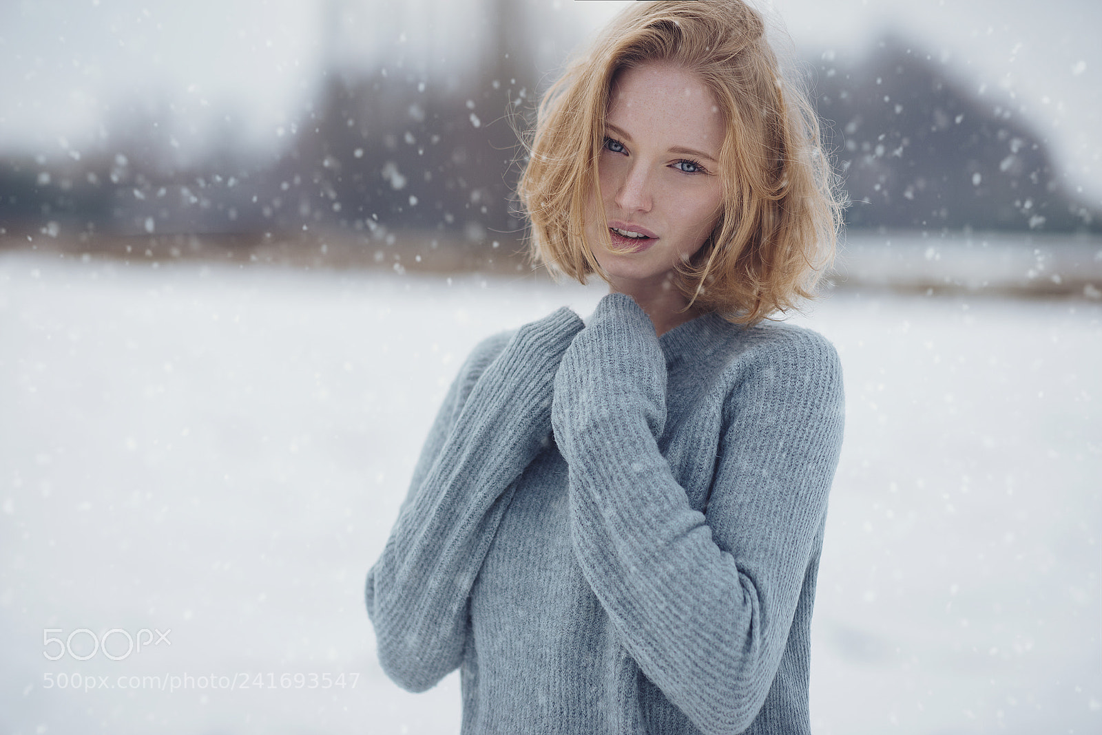 Nikon D800 sample photo. Cold heart photography
