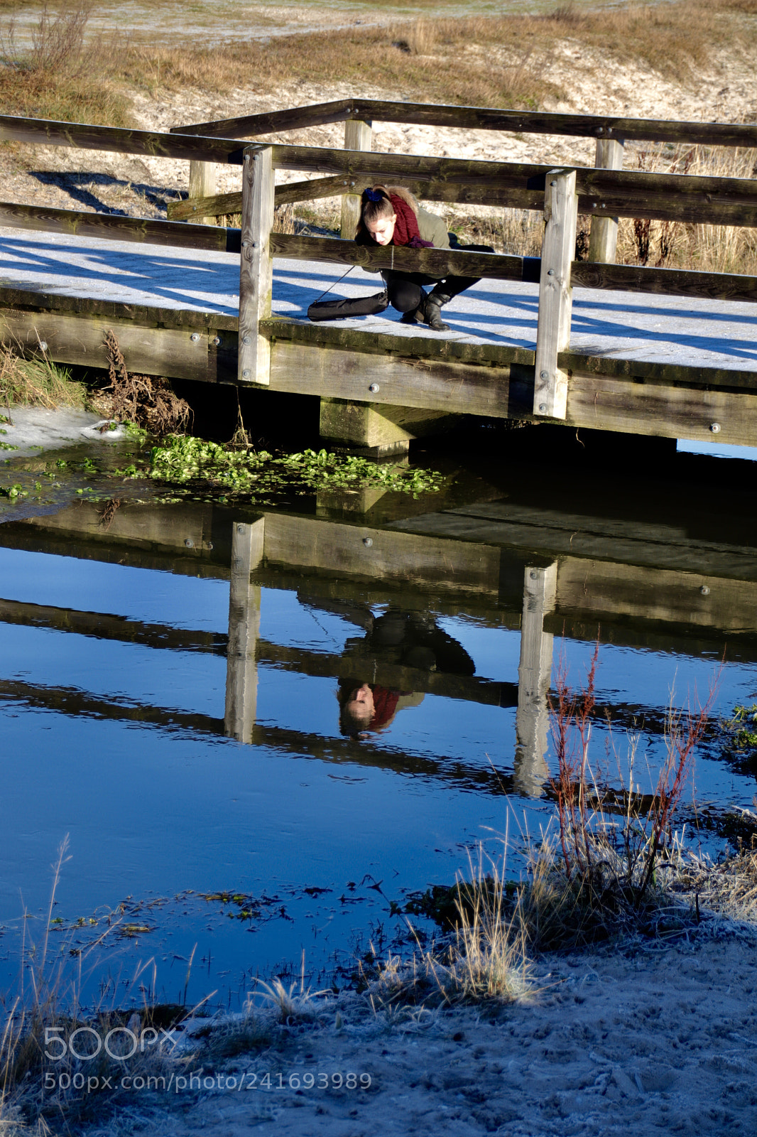 Canon EOS 77D (EOS 9000D / EOS 770D) sample photo. Under the wooden bridge photography