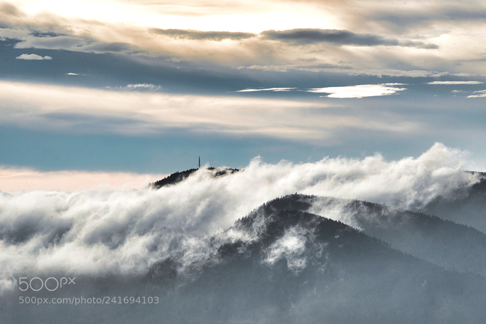 Nikon D800E sample photo. Vosges photography