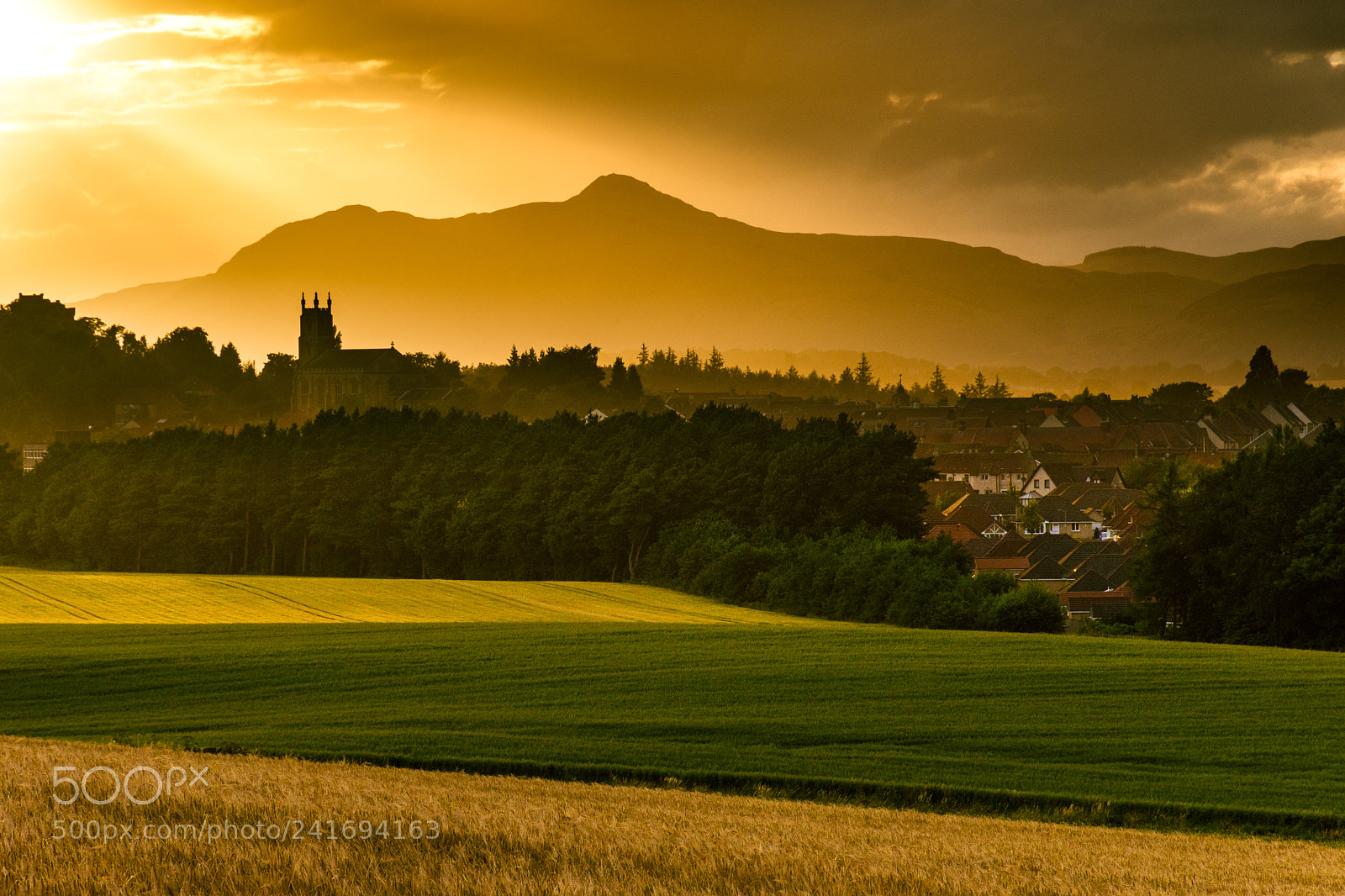 Nikon D7200 sample photo. Clackmannan. photography