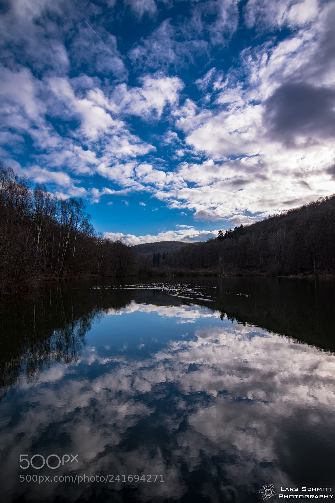 Nikon D5500 sample photo. Hirschbornteiche bad soden salm photography