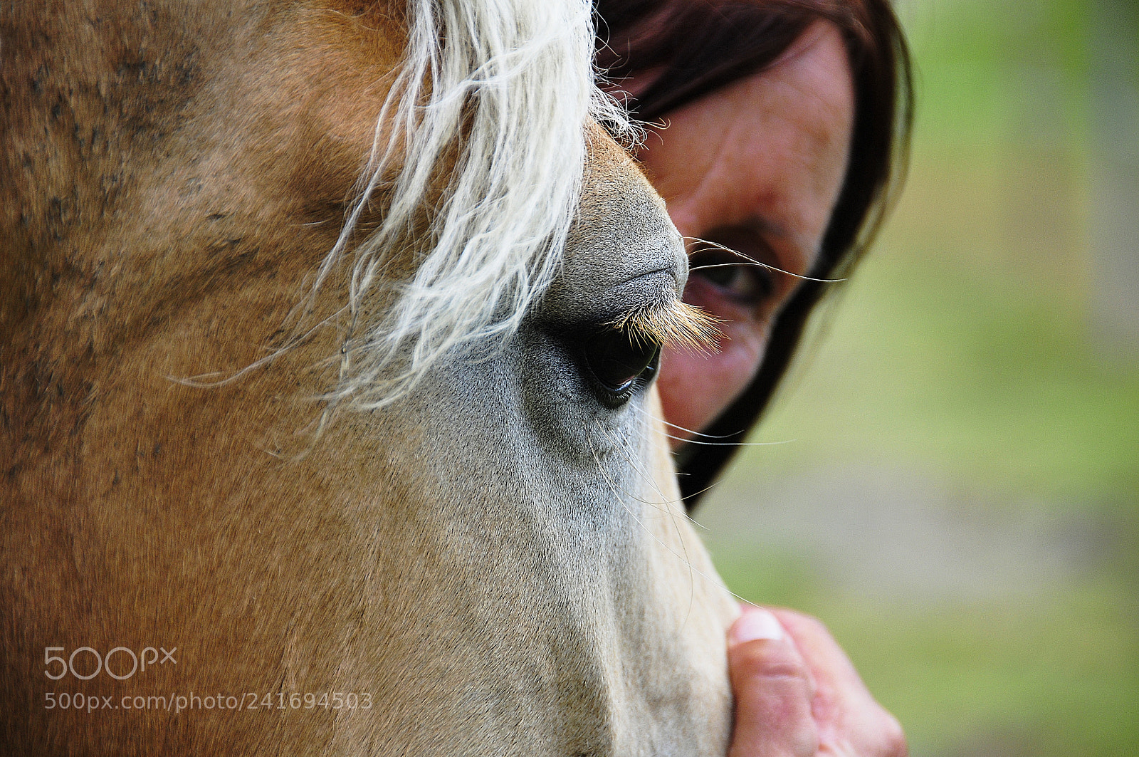 Nikon D300S sample photo. Sguardi.... photography