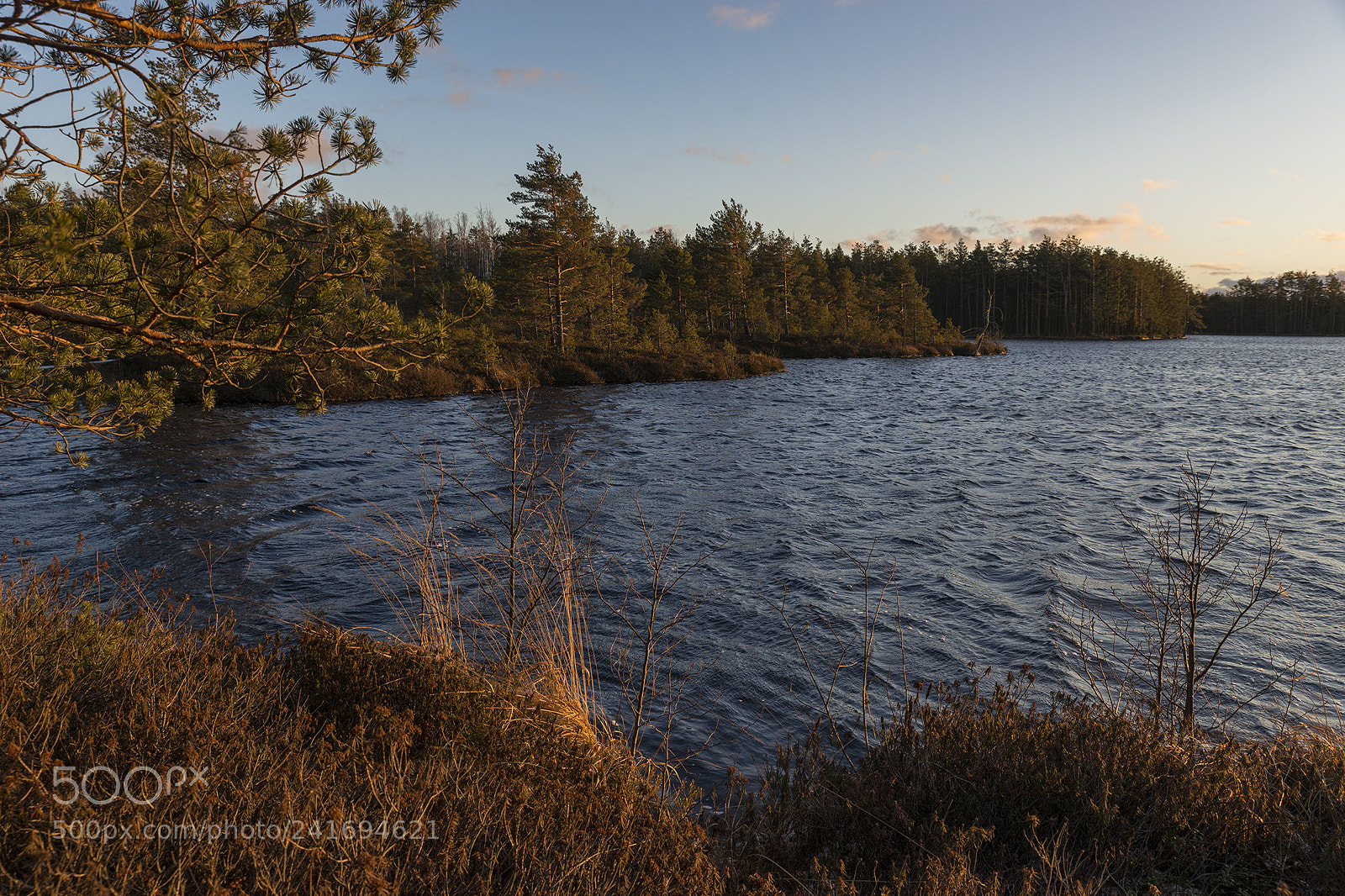 Sony SLT-A99V sample photo. Evening light photography