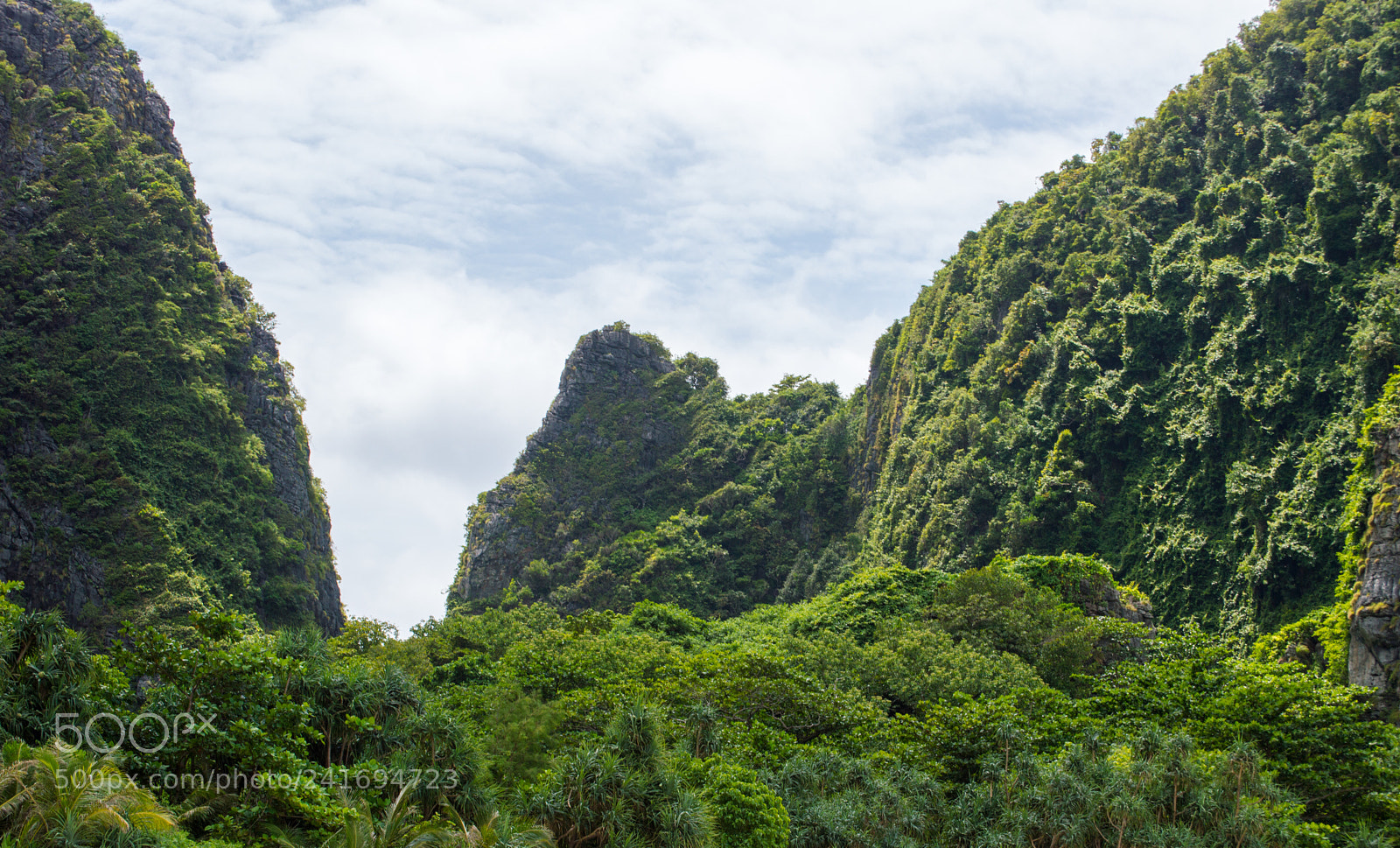 Nikon D3200 sample photo. Paradise2 photography