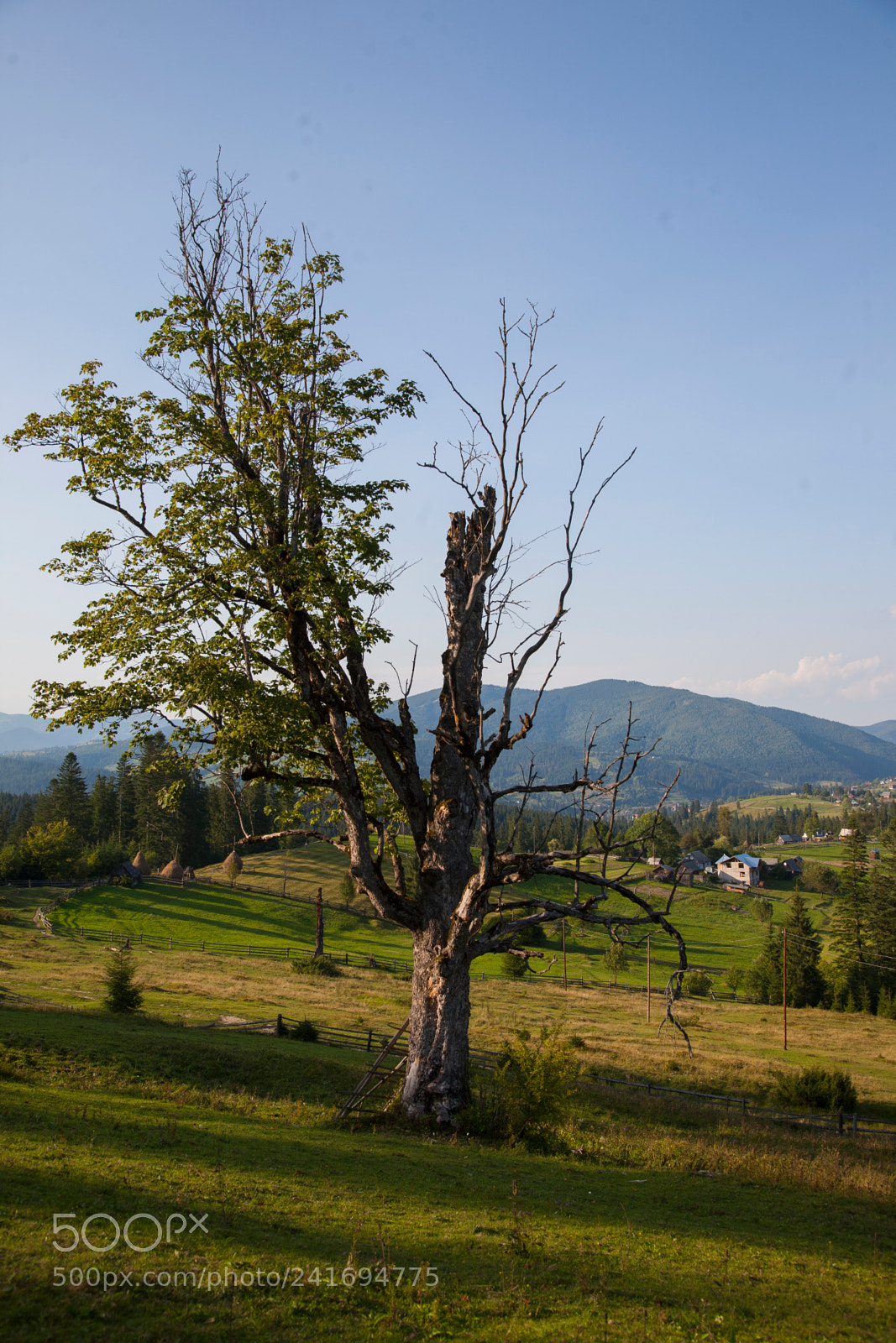 Canon EOS 5D sample photo. Img photography