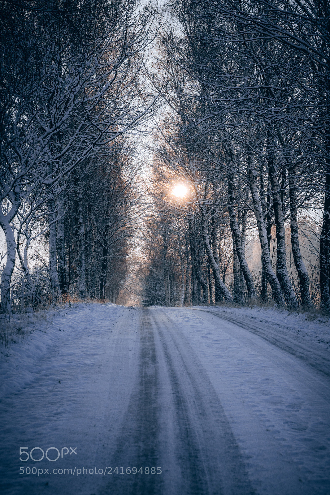 Sony ILCA-77M2 sample photo. Winter road photography