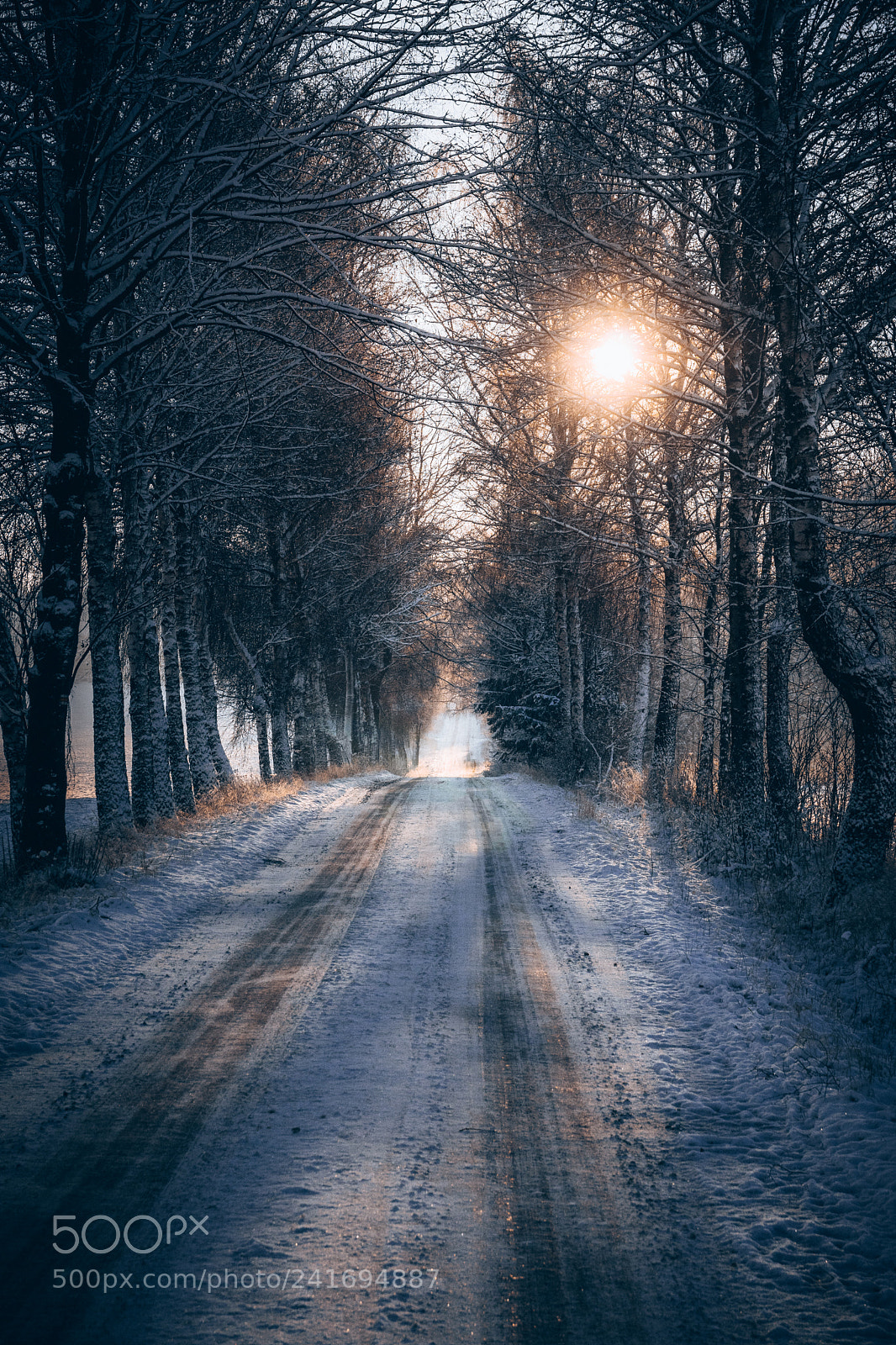 Sony ILCA-77M2 sample photo. Winter road photography