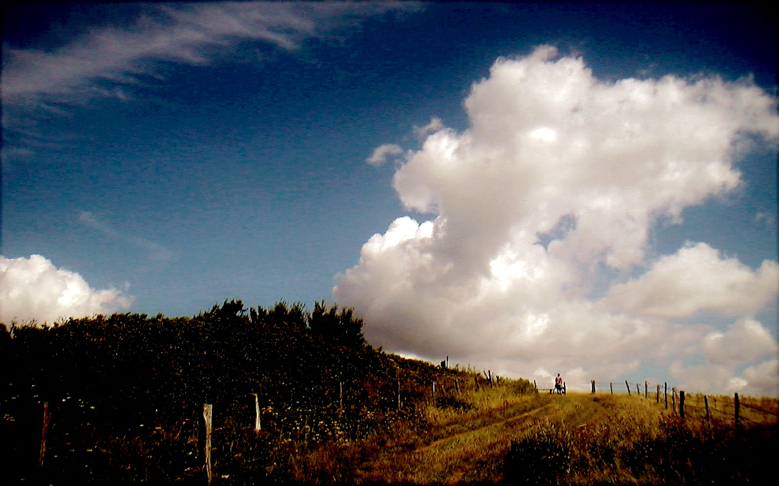 KONICA MINOLTA DiMAGE X sample photo. Weiter blick - hinauf photography