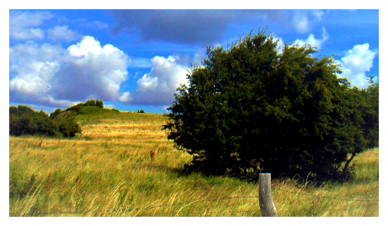 KONICA MINOLTA DiMAGE X sample photo. Weiter blick - entlang photography