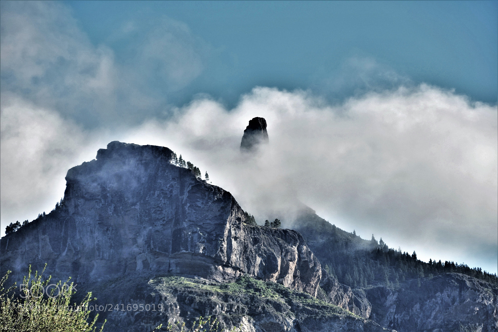 Nikon D7200 sample photo. In the middle of photography