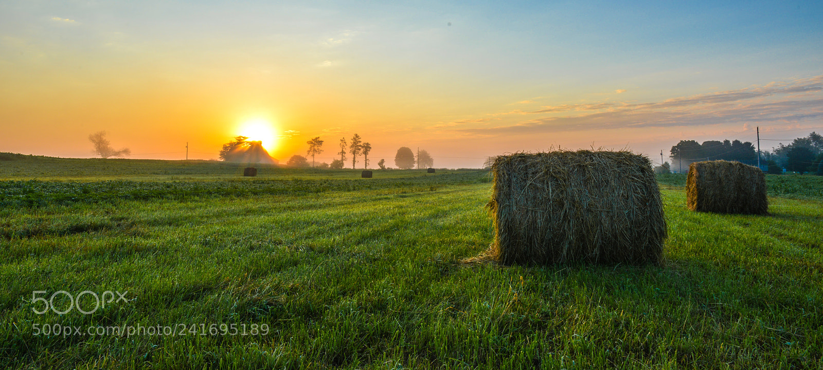 Nikon D800 sample photo. Early morning photography