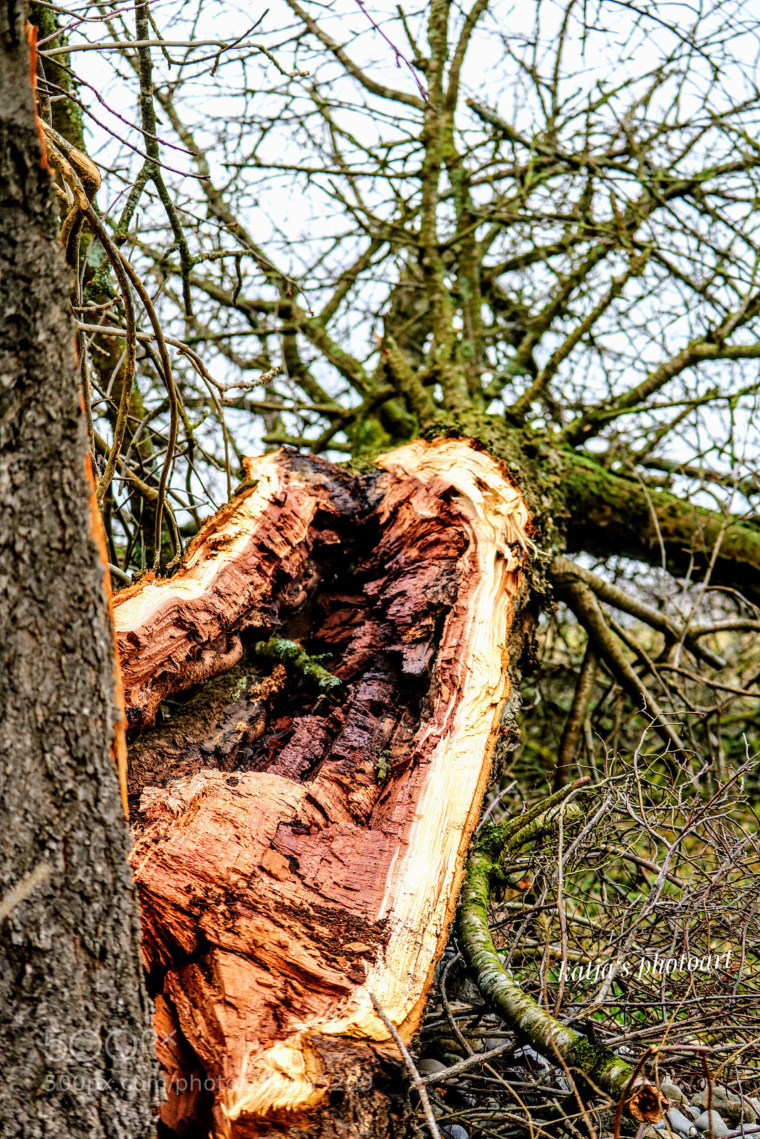 Canon EOS 750D (EOS Rebel T6i / EOS Kiss X8i) sample photo. Sturmopfer photography