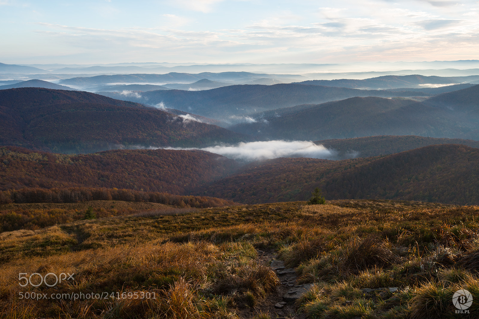 Nikon D800 sample photo. Bieszczady photography