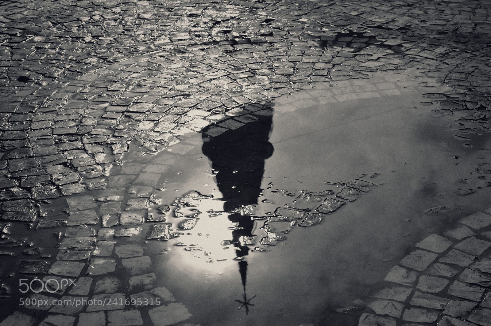Nikon D700 sample photo. Untitled photography