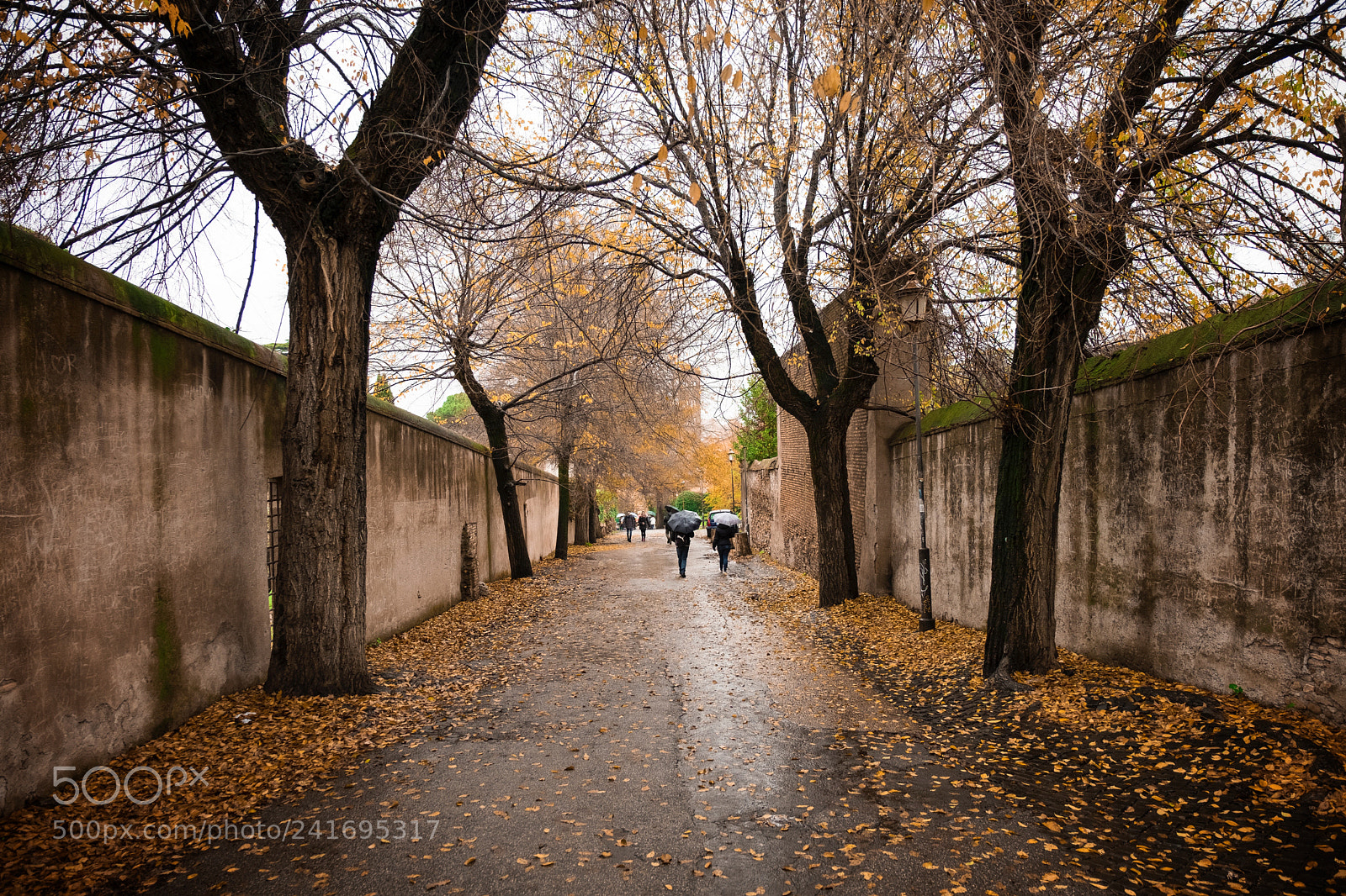 Fujifilm X-T2 sample photo. Road to san pietro photography
