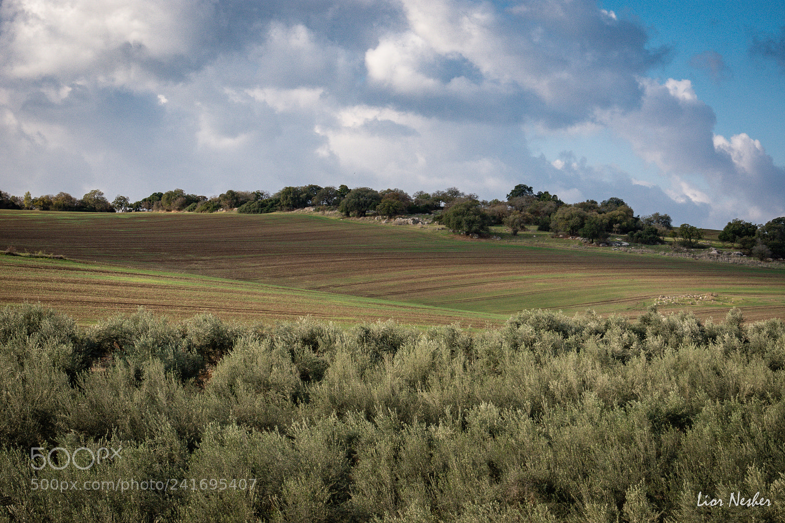 Nikon D7200 sample photo. שדות כדורי photography