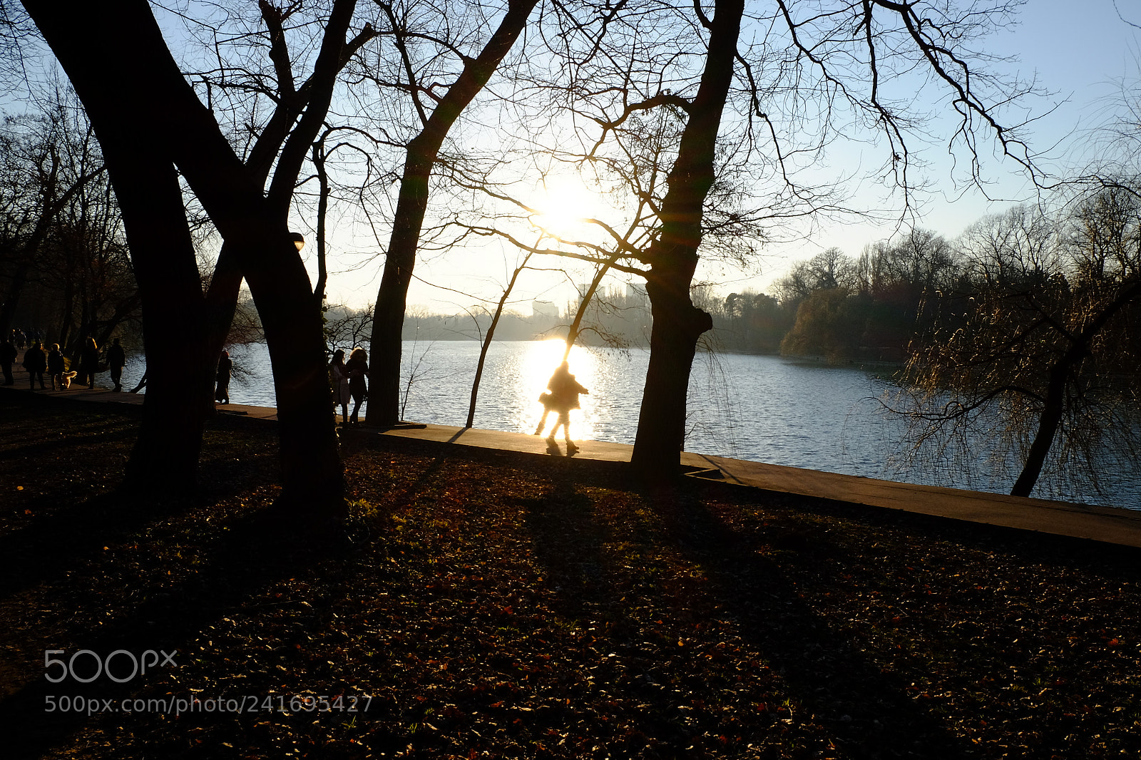 Fujifilm X-E2S sample photo. X-ray photography