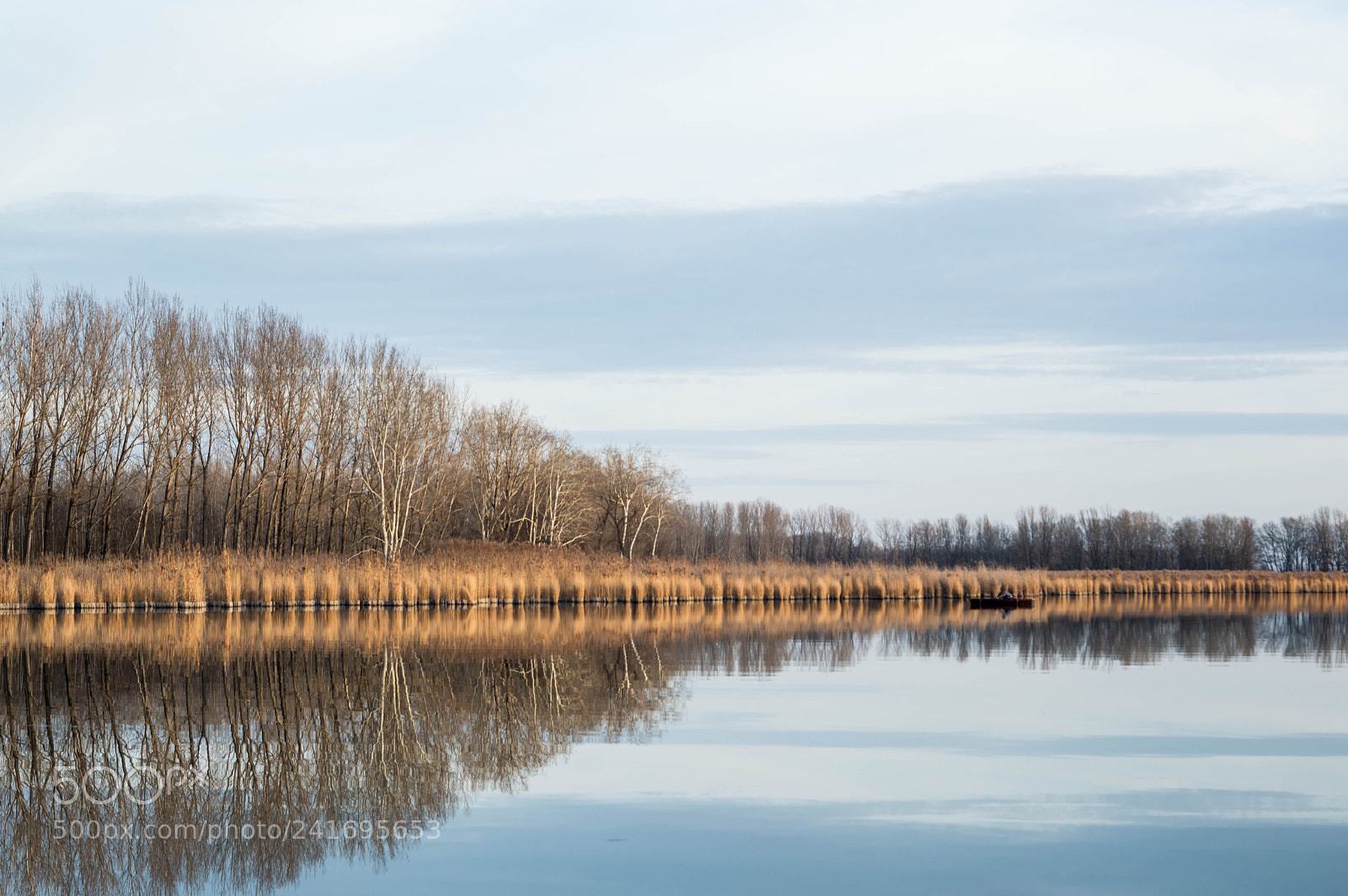Nikon D3200 sample photo. Calm n' quiet photography