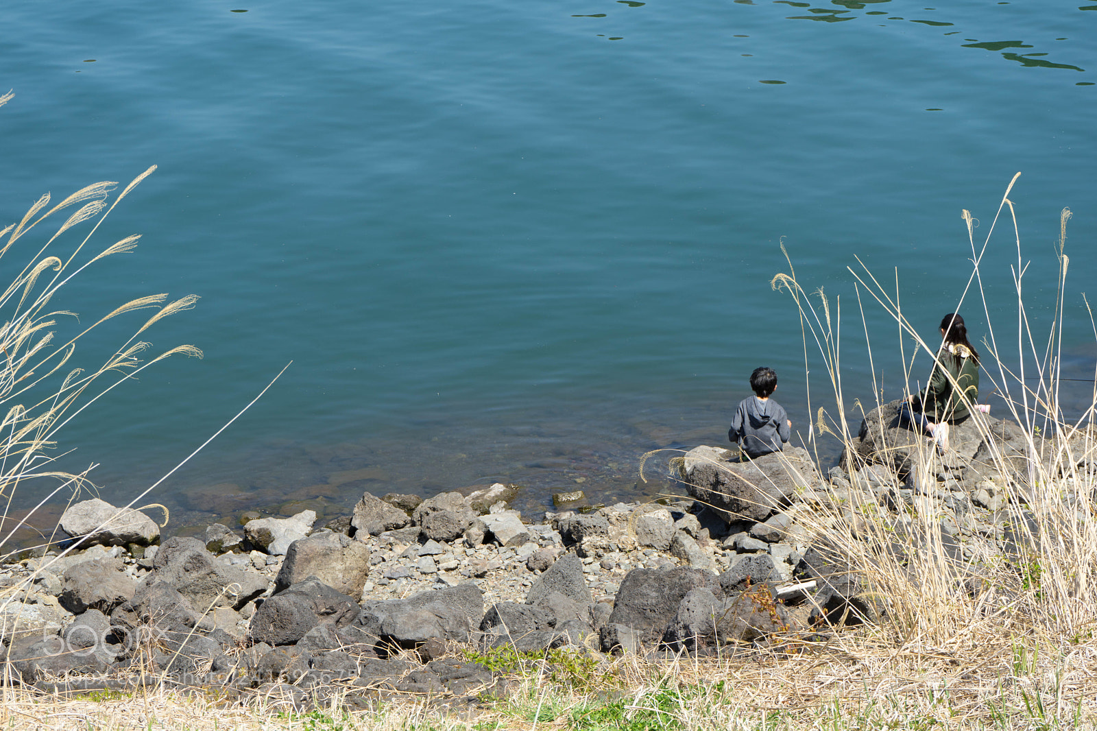 Sony a7 II sample photo. Dsc photography