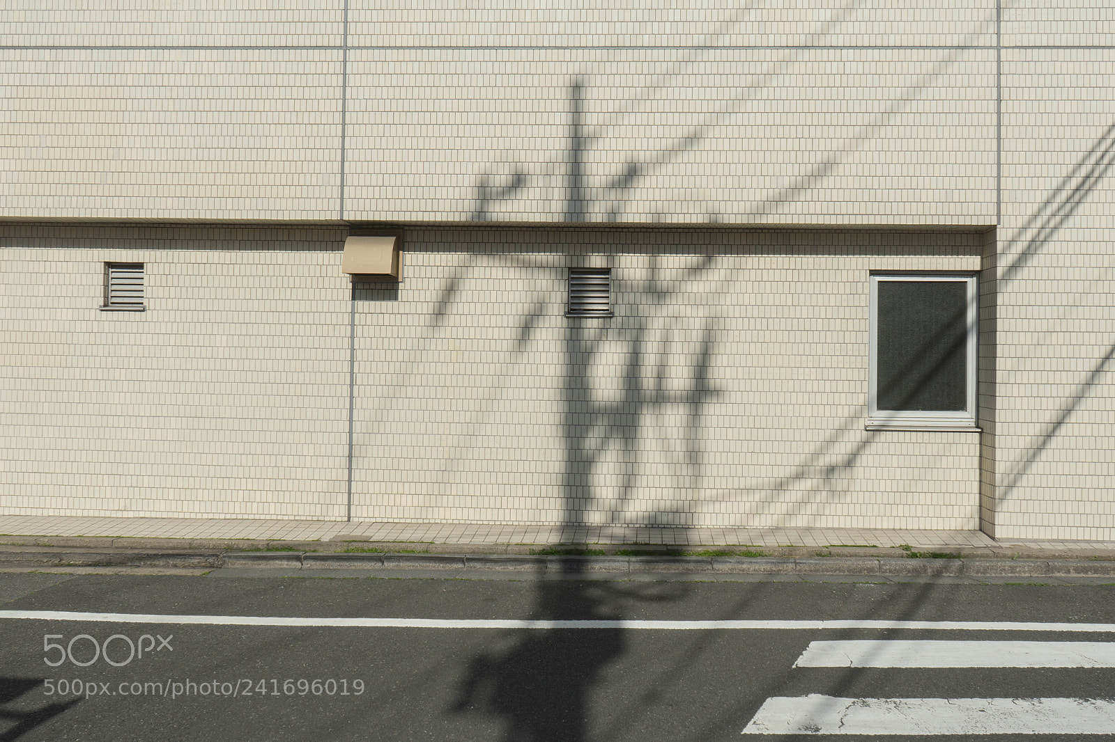 Sony a7 II sample photo. Dsc photography