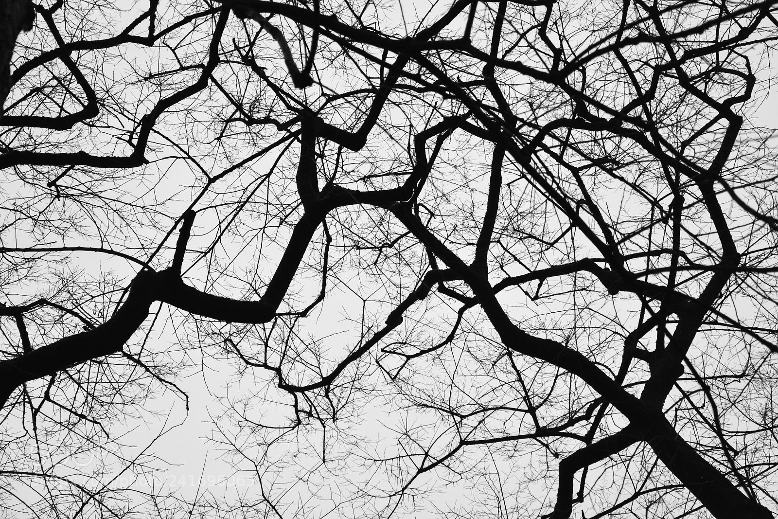 Nikon D3400 sample photo. Cracks in the sky photography