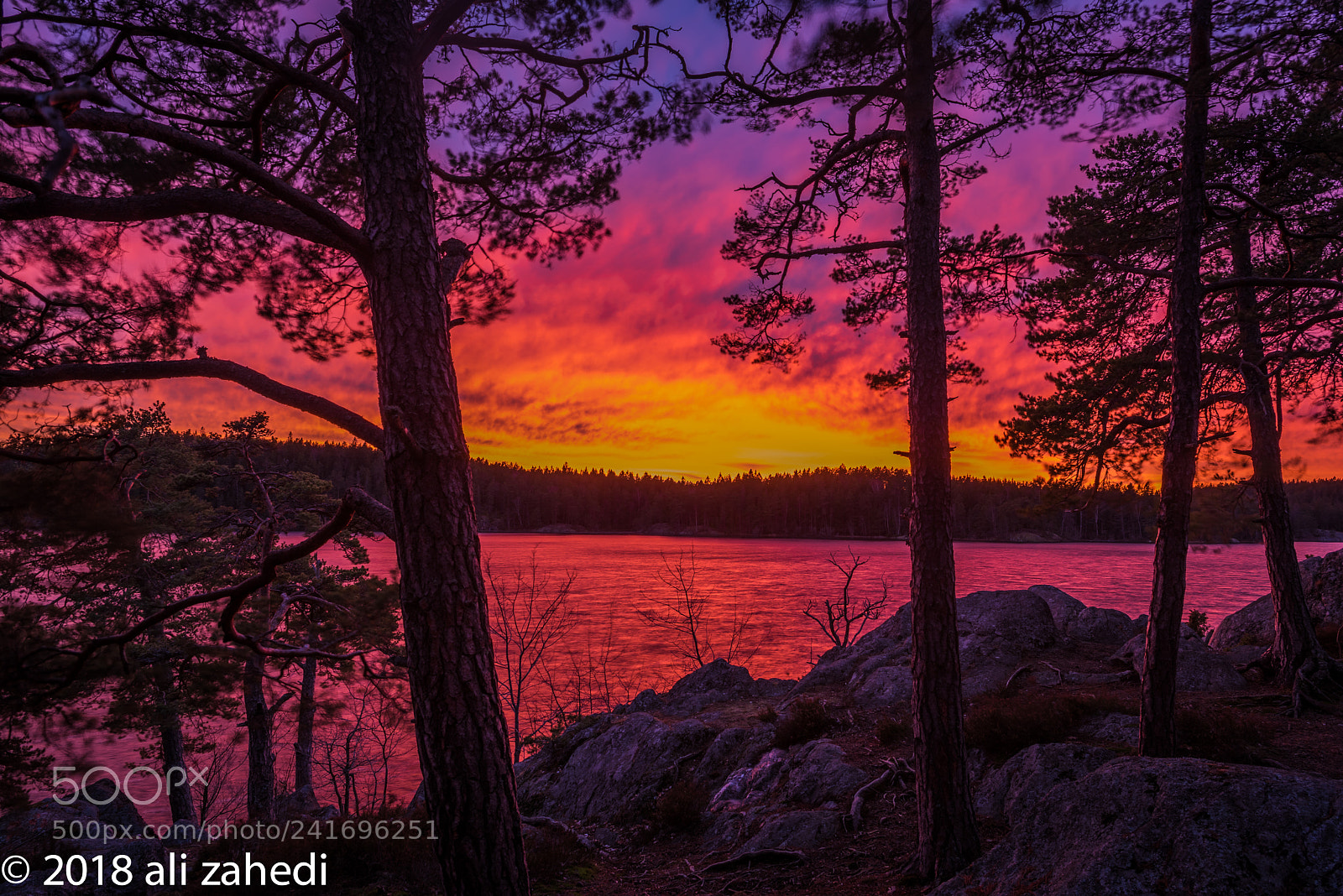 Nikon D810 sample photo. Nyförs18 photography