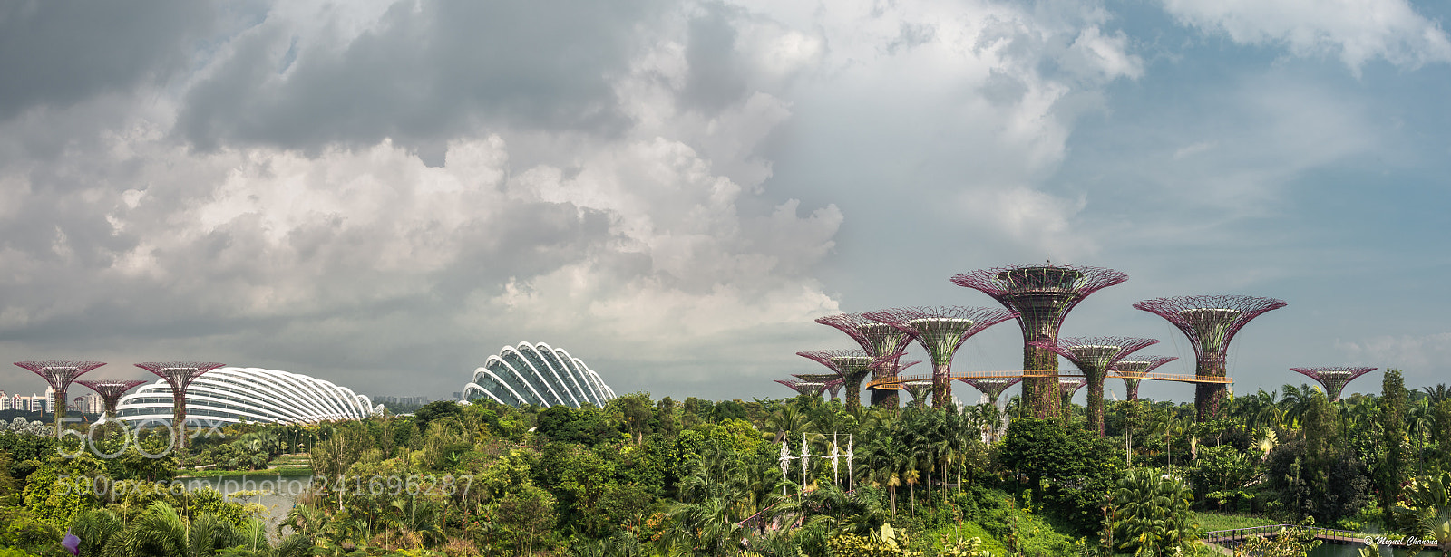 Nikon D800 sample photo. Panoramic gardens by the photography