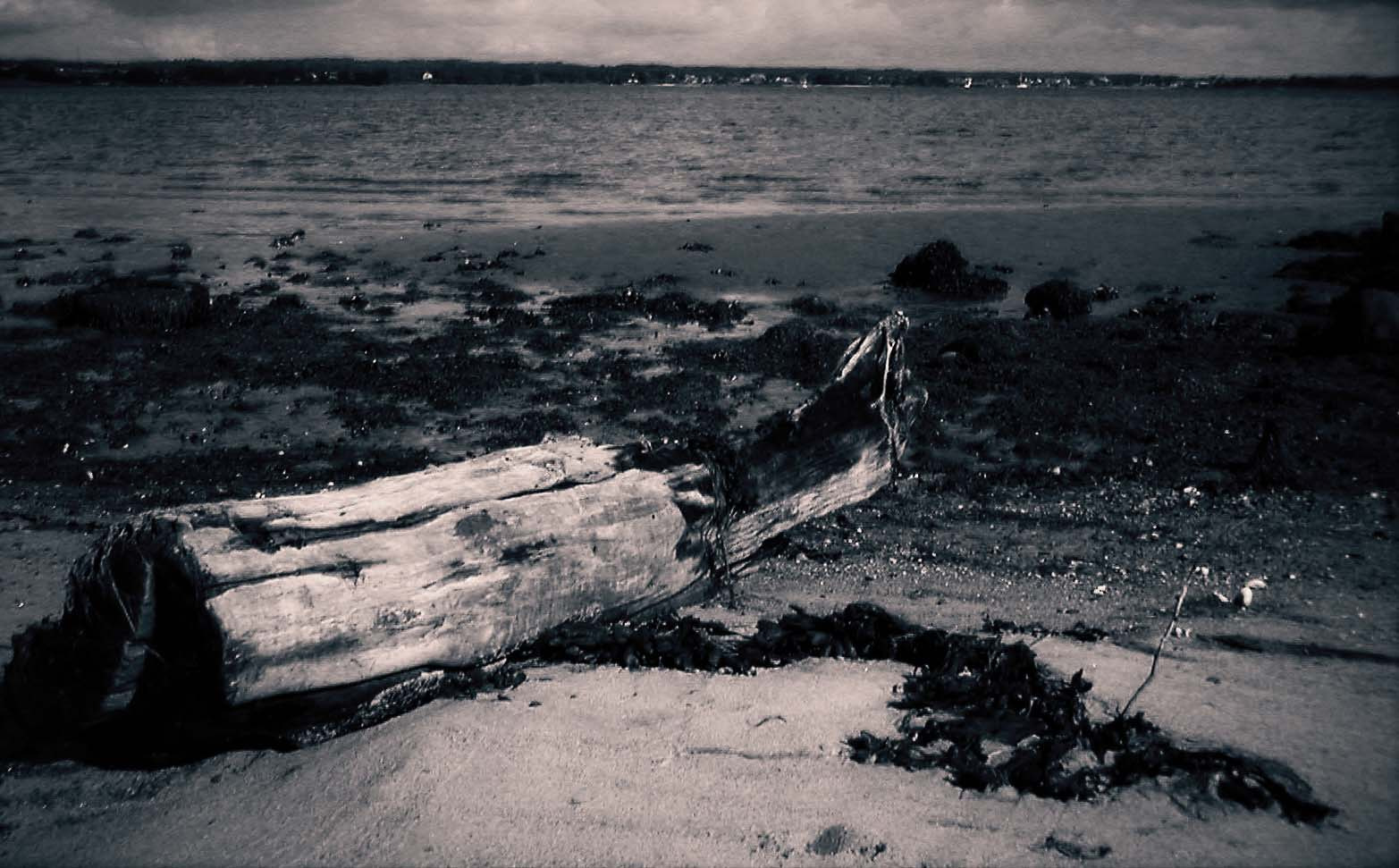 KONICA MINOLTA DiMAGE X sample photo. Gelegen photography