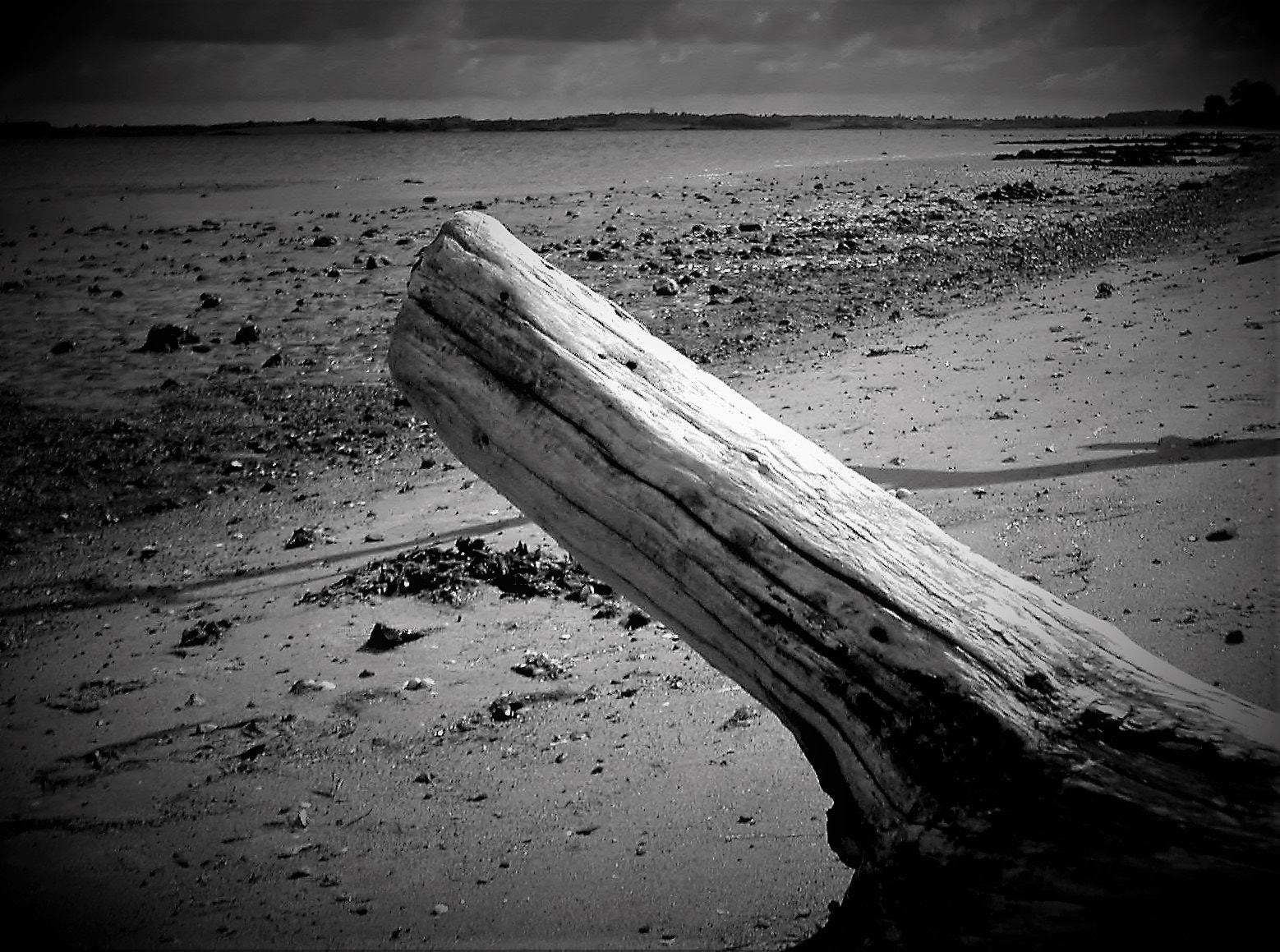 KONICA MINOLTA DiMAGE X sample photo. Entgegen photography