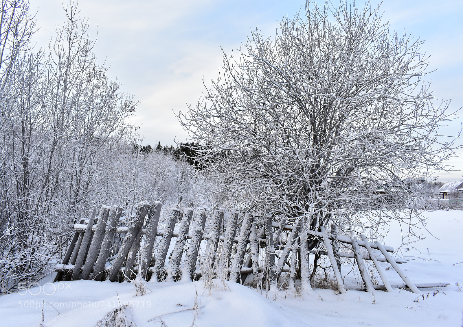 Nikon D3400 sample photo. Зимний день photography