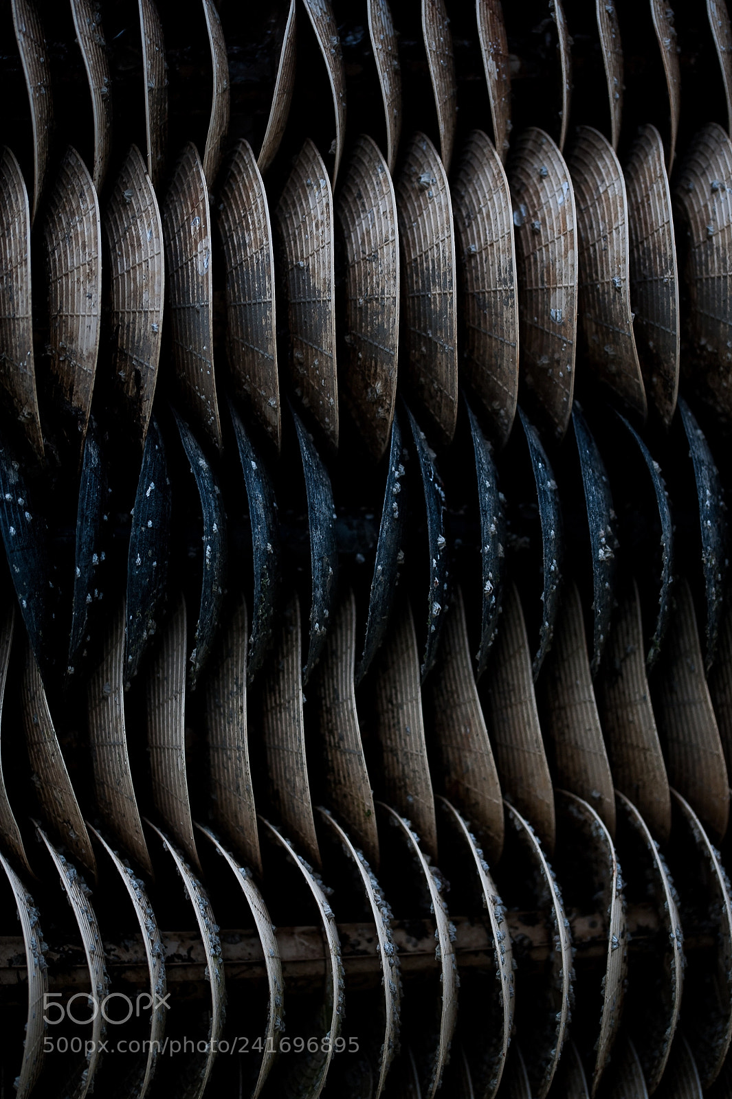 Nikon D700 sample photo. Collecteur photography