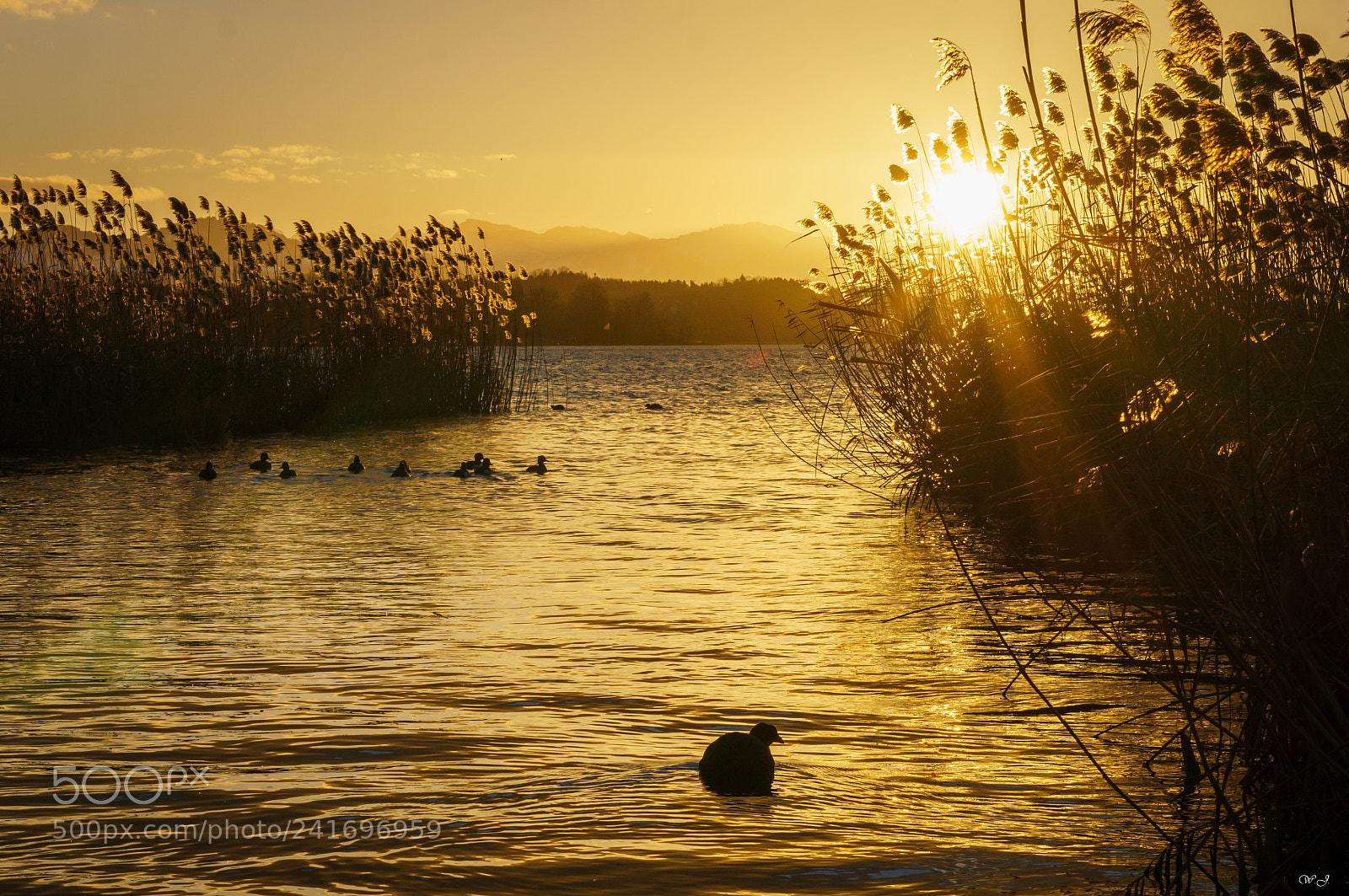 Sony ILCA-77M2 sample photo. Silhouettes in the sun photography