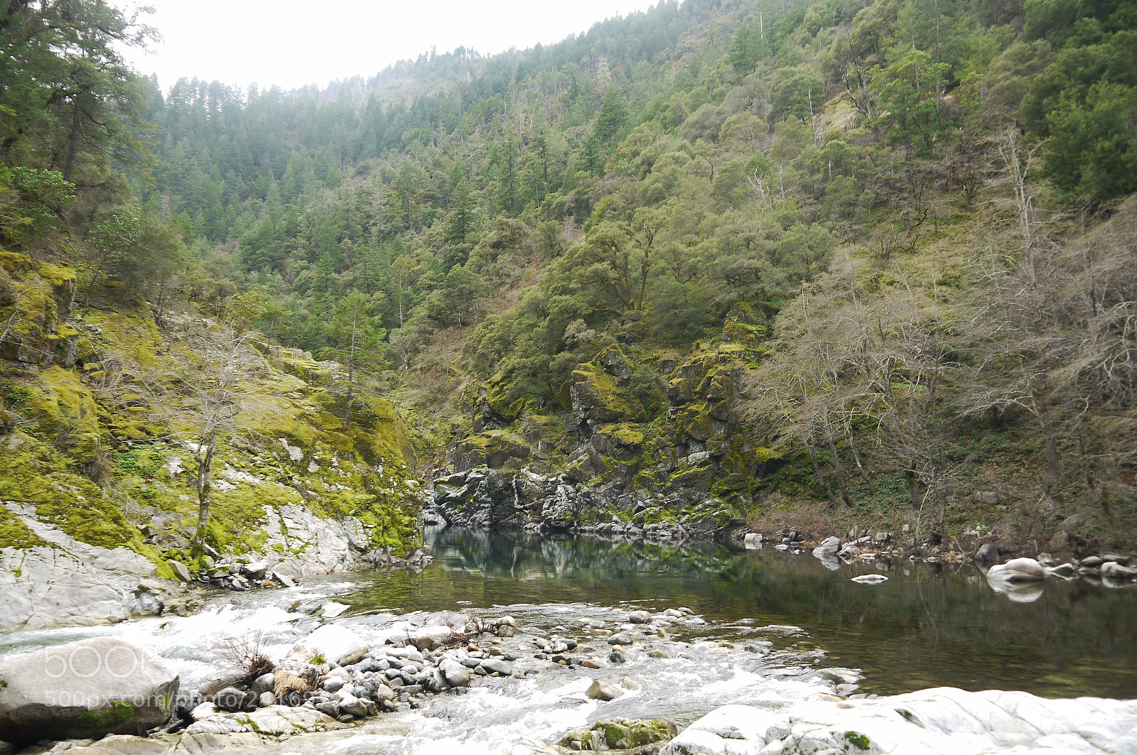 Panasonic Lumix DMC-G2 sample photo. _1060049.jpg photography