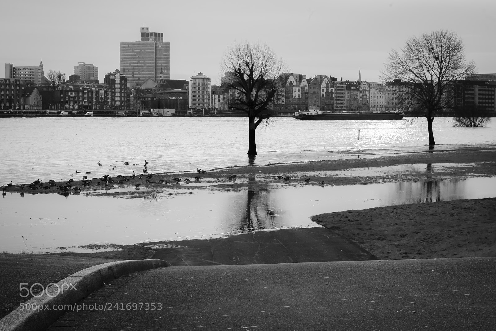 Nikon D3000 sample photo. Little flooding photography