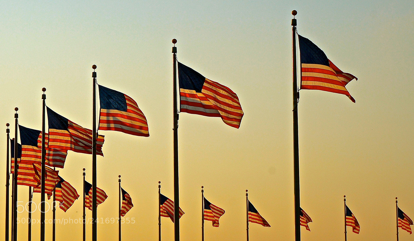 Sony Alpha NEX-3N sample photo. Flags flying photography