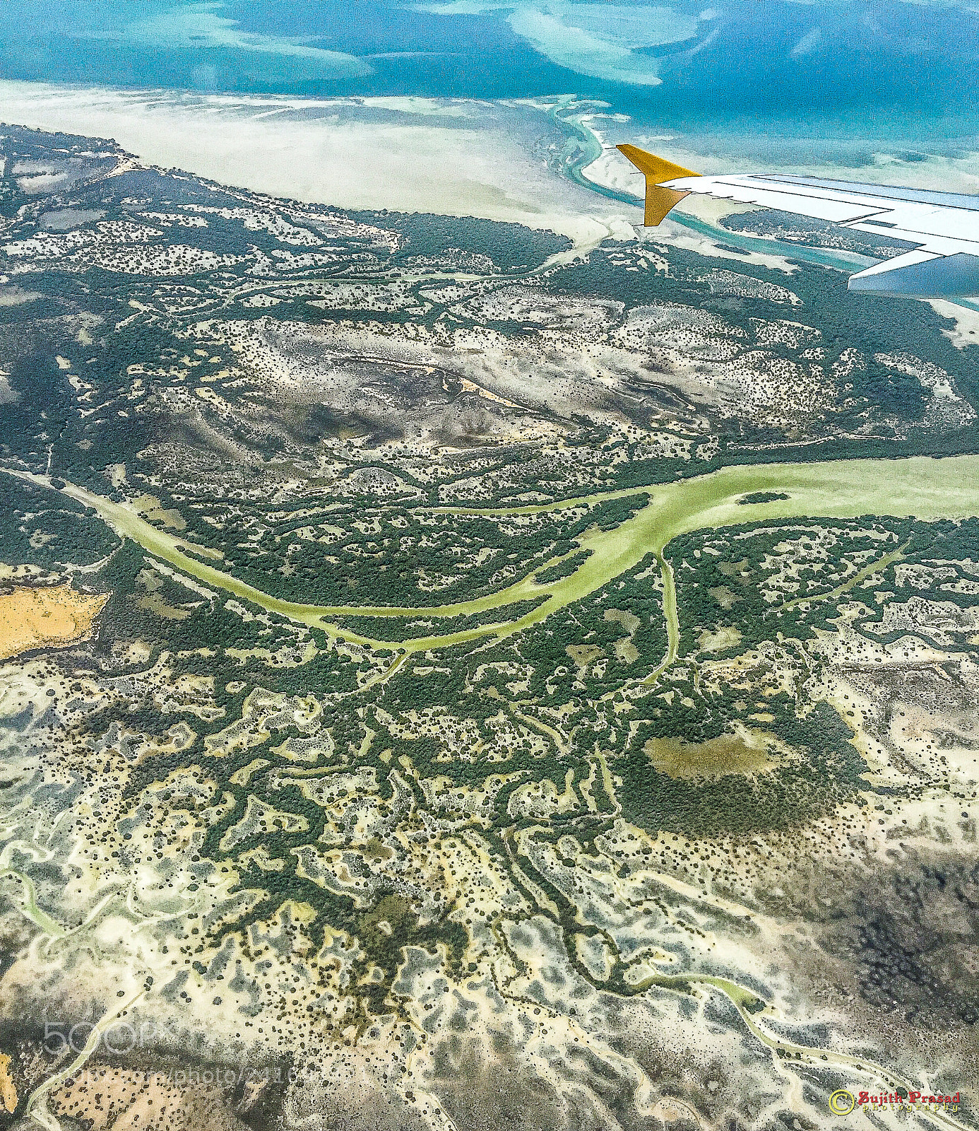Apple iPhone 6 Plus sample photo. Abu dhabi mangroves photography