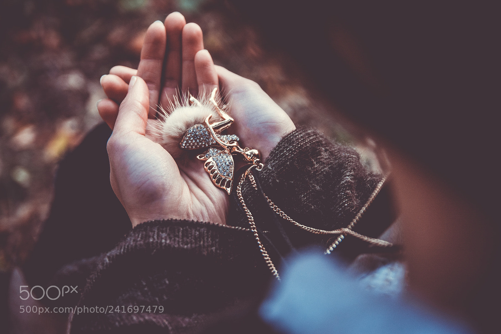 Nikon D7100 sample photo. "fragile" photography