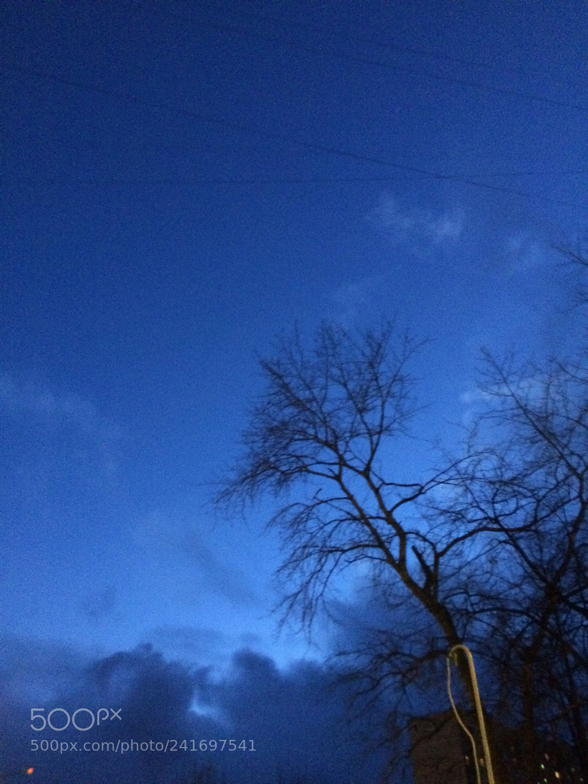 Apple iPhone 5s sample photo. Untitled photography